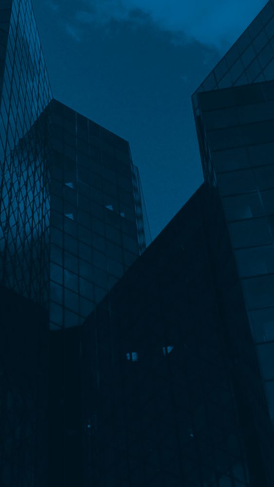 High Court unequivocally dismisses statutory reporting defence advanced